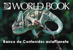 Chameleon lizard perched on a stick with the text World Book World Book - Banco de Contenidos aulaPlaneta